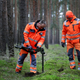 Illustration for article titled Unexploded WWII Ordnance Was Found At The Site Of Teslas New German Factory